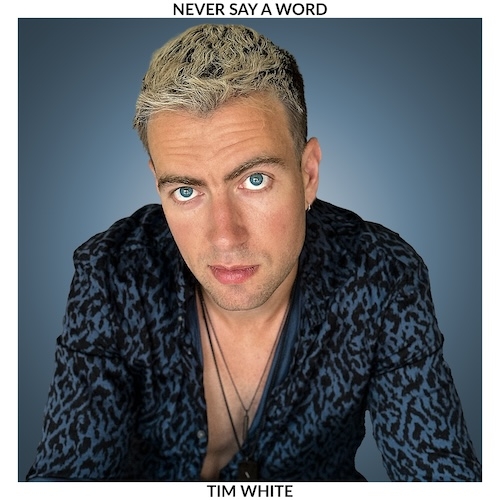 Tim White - Never Say A Word Album Art Teaser